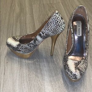 Snake skin Steve Madden heels